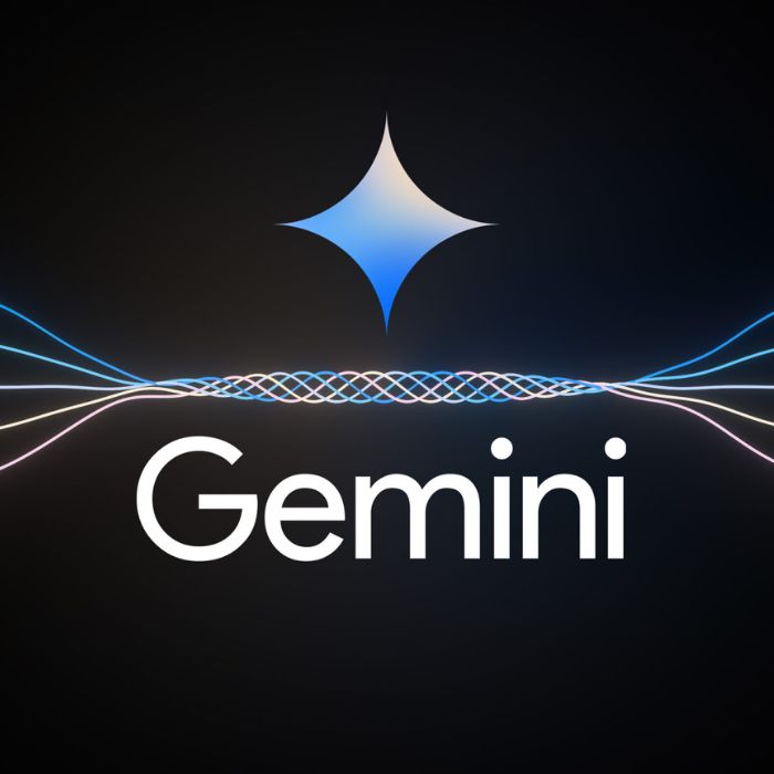 Gemini Pro 12 meses
